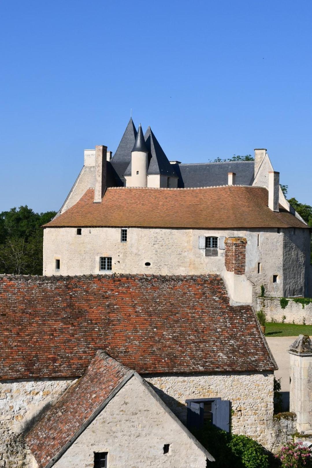 Chateau De Meauce, Gite Du Vigneron Saincaize-Meauce Esterno foto